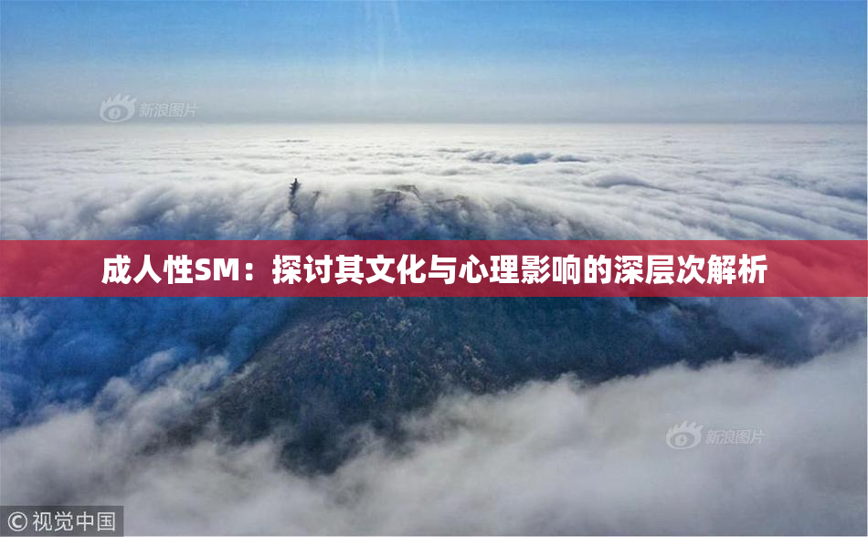 成人性SM：探讨其文化与心理影响的深层次解析