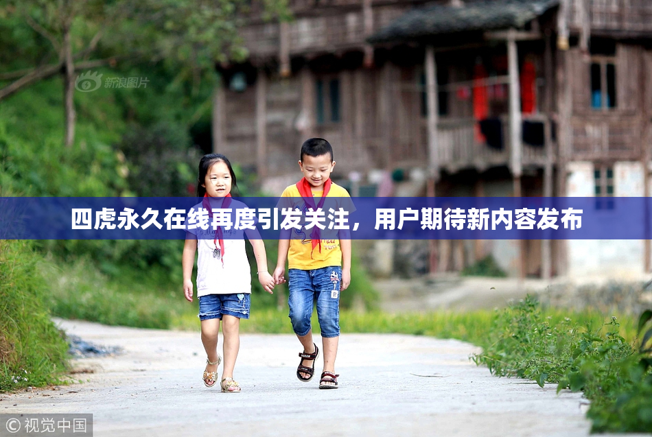 四虎永久在线再度引发关注，用户期待新内容发布