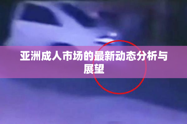 亚洲成人市场的最新动态分析与展望
