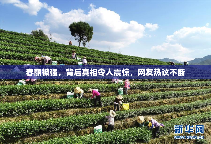 春丽被强，背后真相令人震惊，网友热议不断