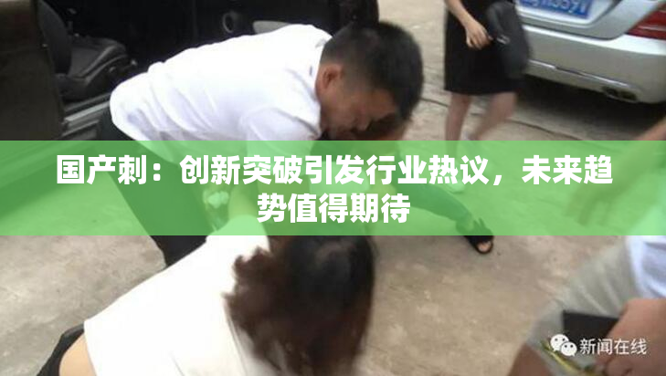 国产刺：创新突破引发行业热议，未来趋势值得期待