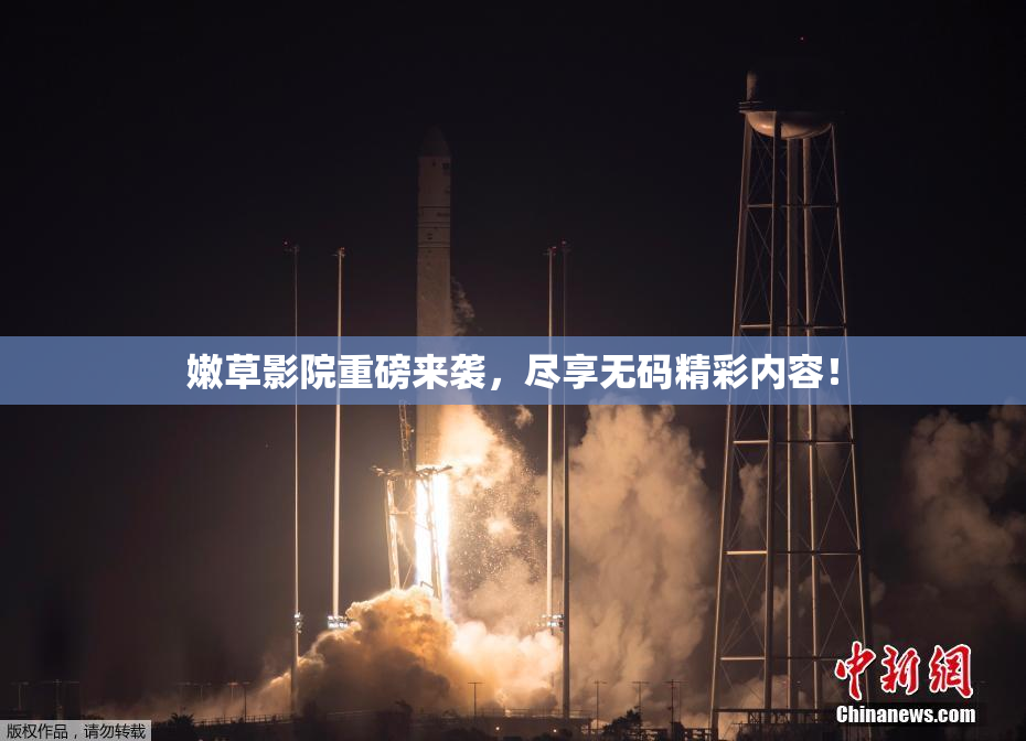 嫩草影院重磅来袭，尽享无码精彩内容！