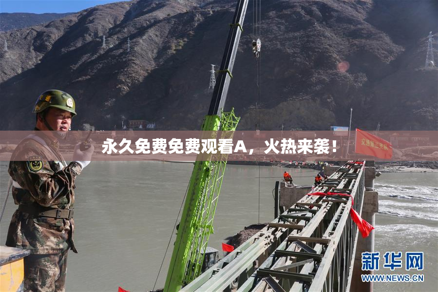 永久免费免费观看A，火热来袭！