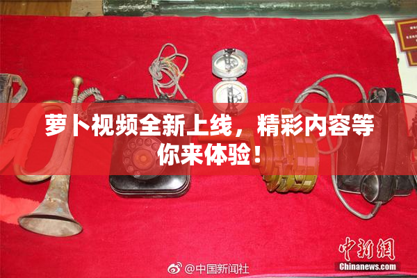萝卜视频全新上线，精彩内容等你来体验！