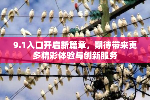 9.1入口开启新篇章，期待带来更多精彩体验与创新服务