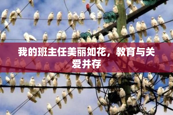 我的班主任美丽如花，教育与关爱并存