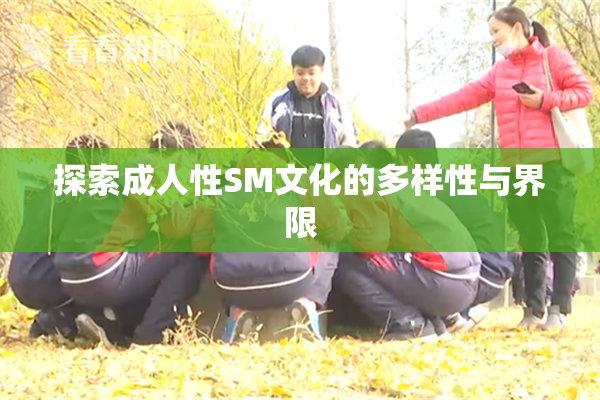 探索成人性SM文化的多样性与界限
