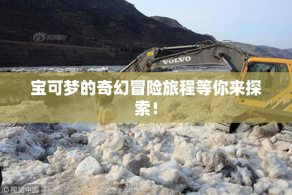 宝可梦的奇幻冒险旅程等你来探索！