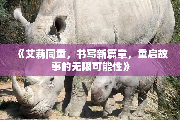《艾莉同重，书写新篇章，重启故事的无限可能性》