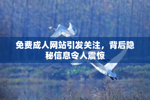免费成人网站引发关注，背后隐秘信息令人震惊