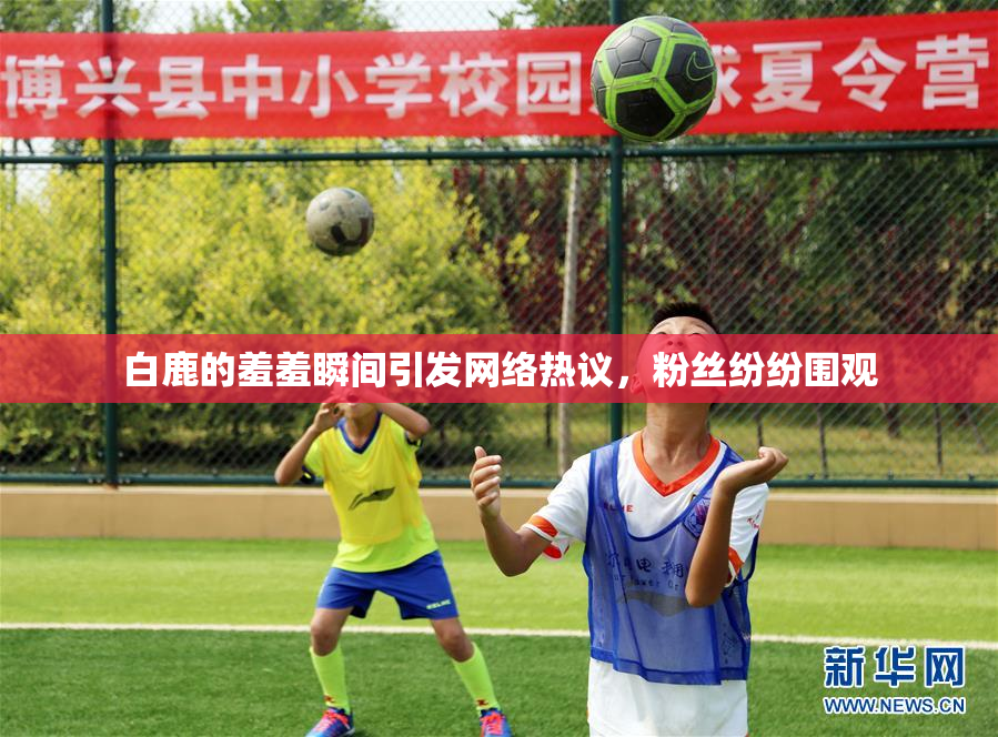 白鹿的羞羞瞬间引发网络热议，粉丝纷纷围观