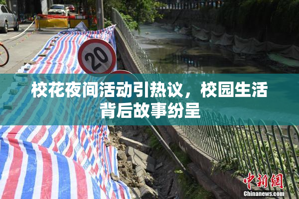 校花夜间活动引热议，校园生活背后故事纷呈