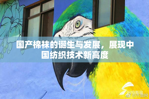 国产棉袜的诞生与发展，展现中国纺织技术新高度