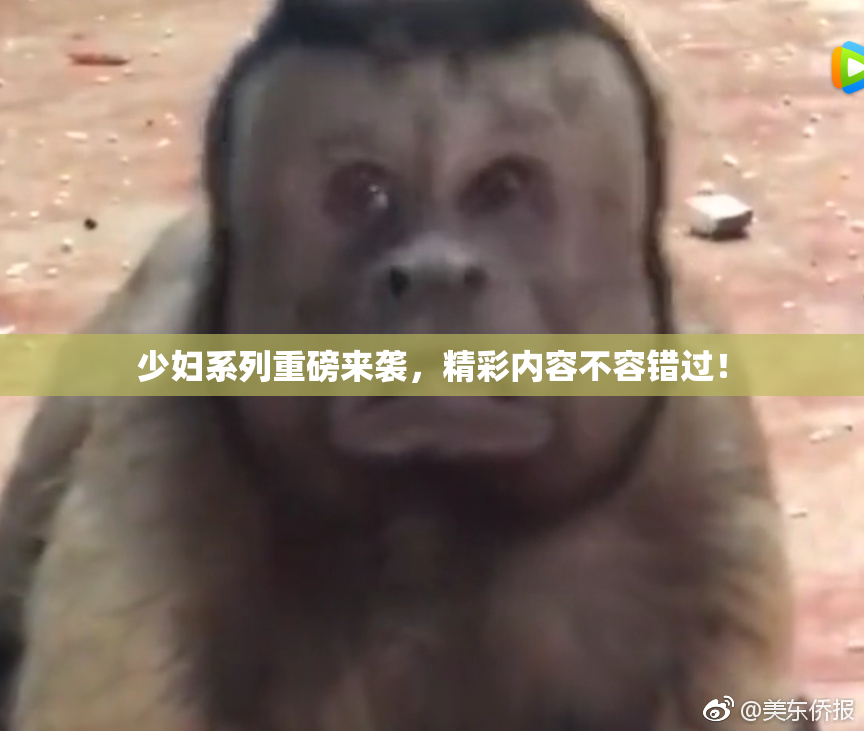 少妇系列重磅来袭，精彩内容不容错过！