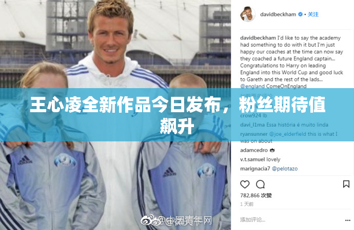 王心凌全新作品今日发布，粉丝期待值飙升