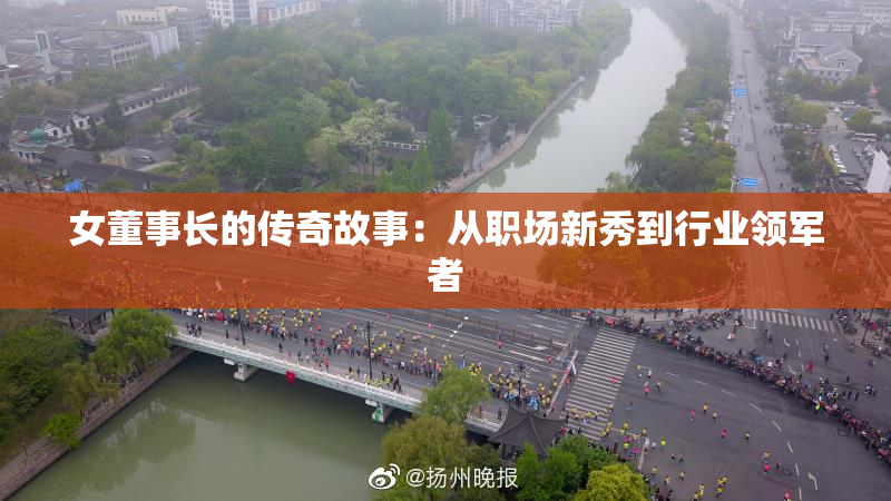 女董事长的传奇故事：从职场新秀到行业领军者