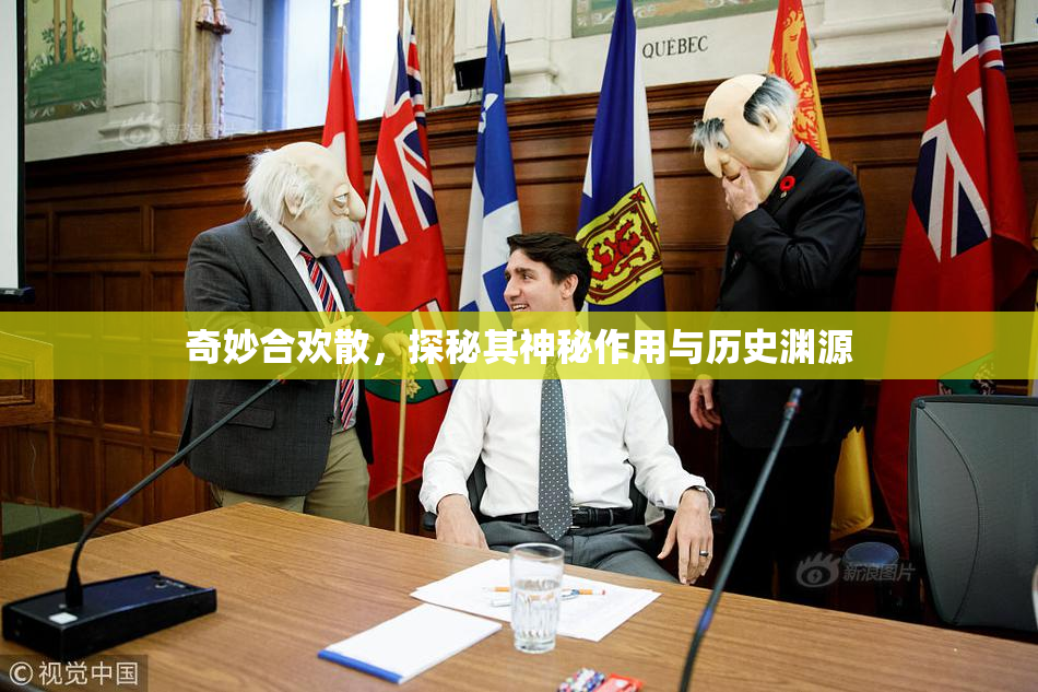 奇妙合欢散，探秘其神秘作用与历史渊源