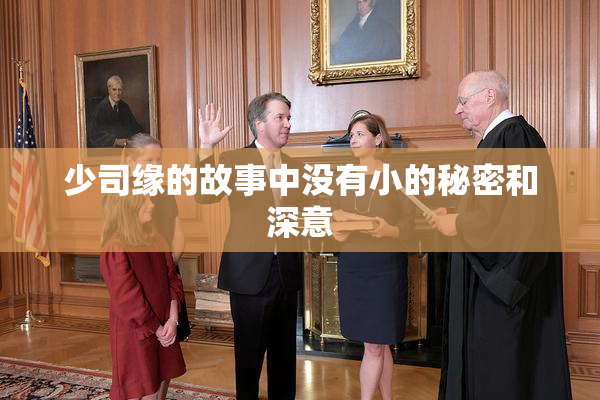少司缘的故事中没有小的秘密和深意