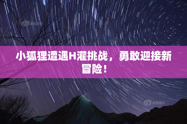 小狐狸遭遇H灌挑战，勇敢迎接新冒险！