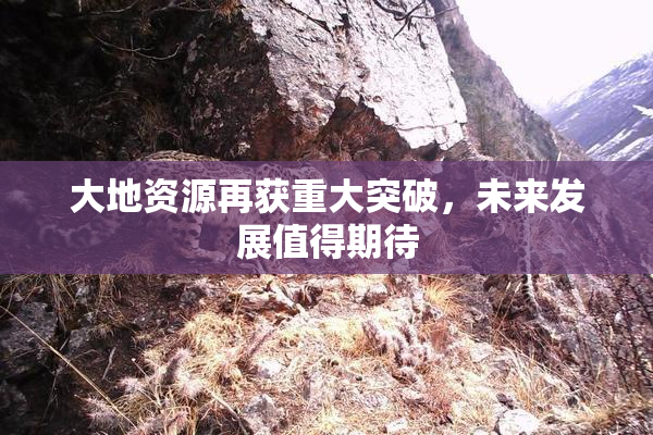 大地资源再获重大突破，未来发展值得期待