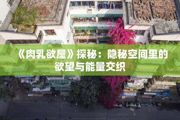 《肉乳欲屋》探秘：隐秘空间里的欲望与能量交织