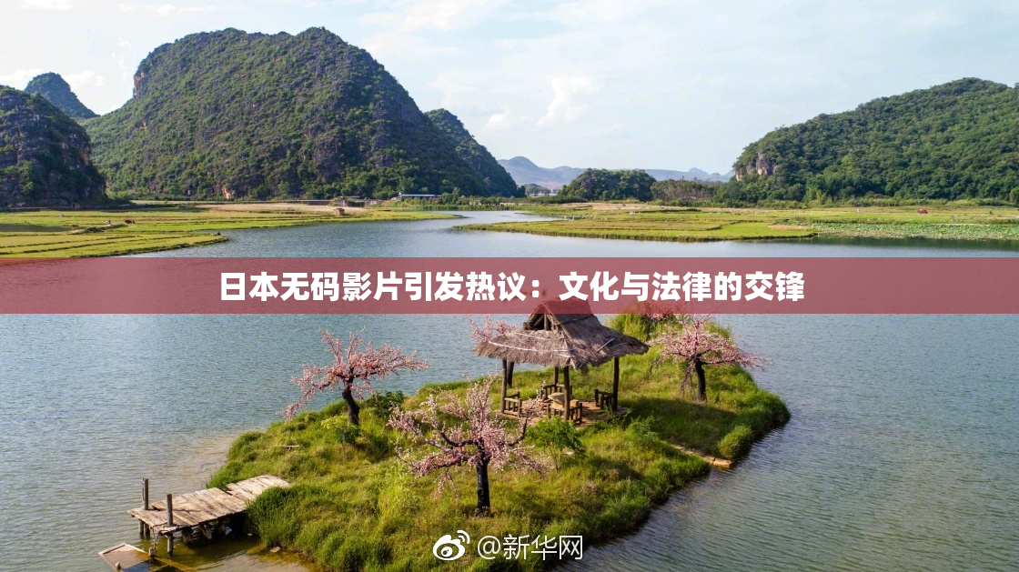 日本无码影片引发热议：文化与法律的交锋