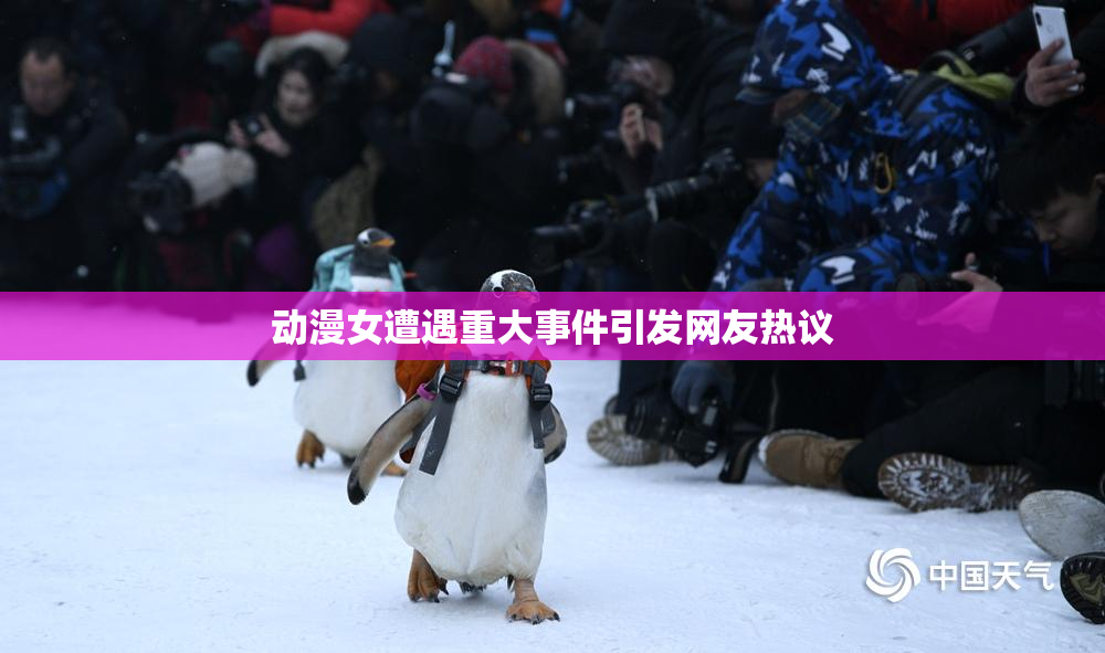 动漫女遭遇重大事件引发网友热议