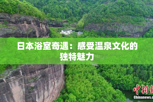 日本浴室奇遇：感受温泉文化的独特魅力
