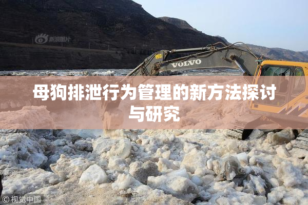 母狗排泄行为管理的新方法探讨与研究