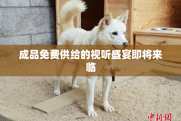 成品免费供给的视听盛宴即将来临