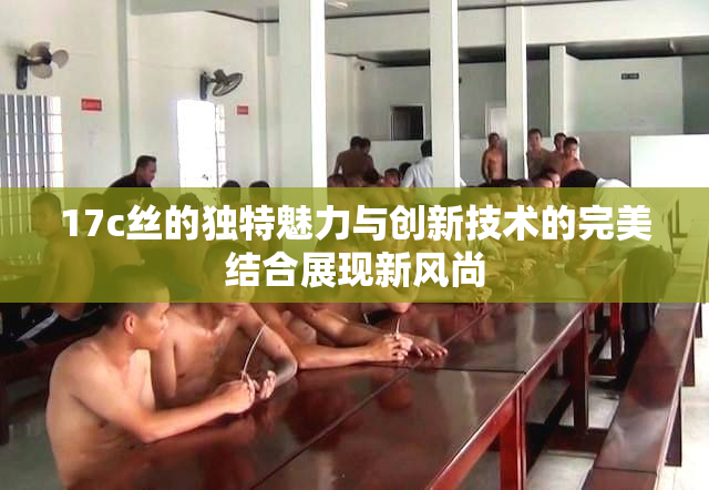 17c丝的独特魅力与创新技术的完美结合展现新风尚