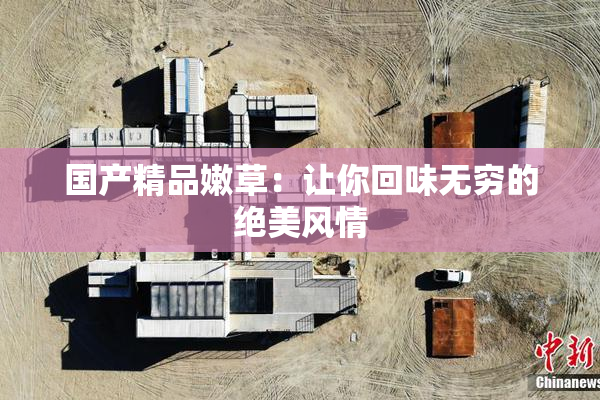 国产精品嫩草：让你回味无穷的绝美风情