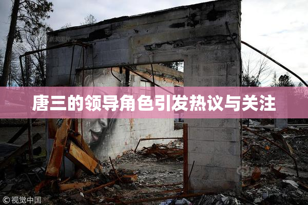 唐三的领导角色引发热议与关注