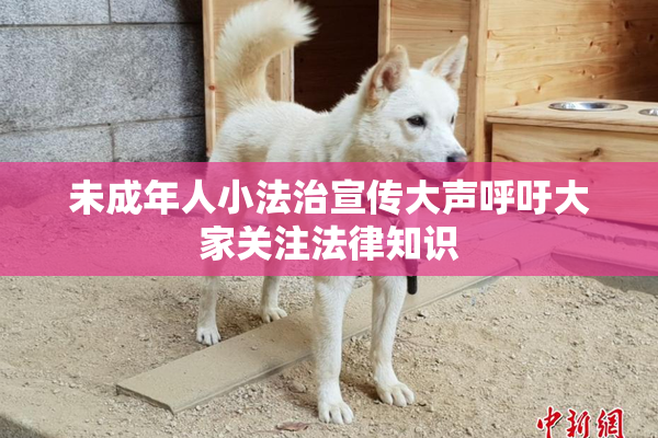 未成年人小法治宣传大声呼吁大家关注法律知识