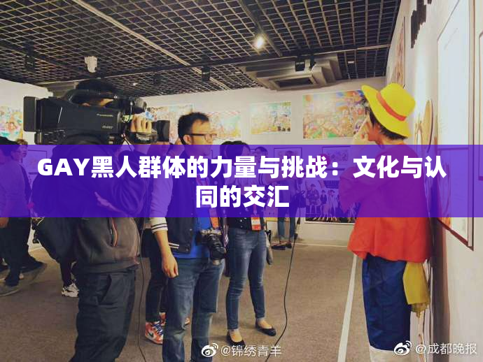 GAY黑人群体的力量与挑战：文化与认同的交汇