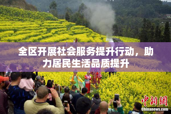 全区开展社会服务提升行动，助力居民生活品质提升