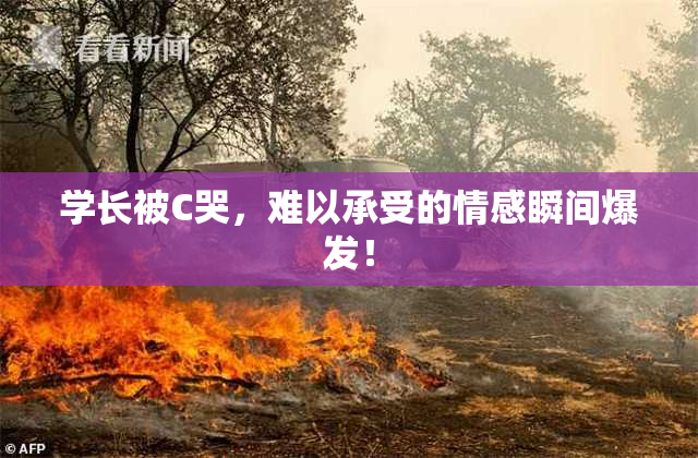 学长被C哭，难以承受的情感瞬间爆发！