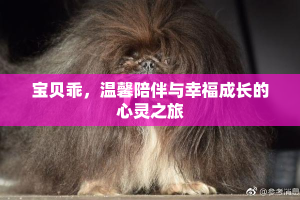 宝贝乖，温馨陪伴与幸福成长的心灵之旅
