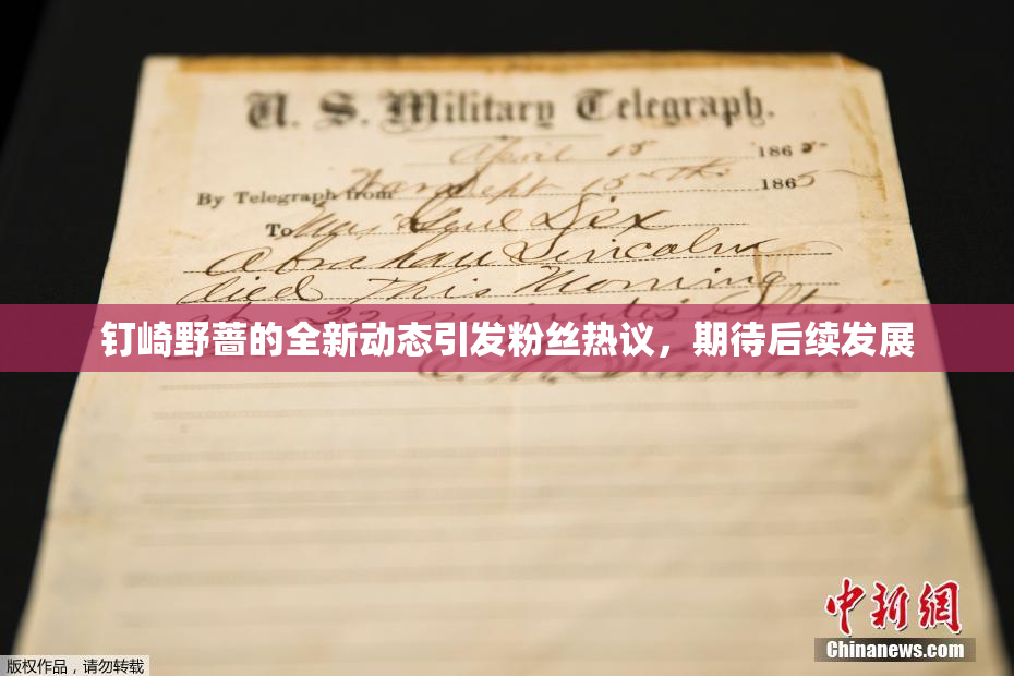 钉崎野蔷的全新动态引发粉丝热议，期待后续发展