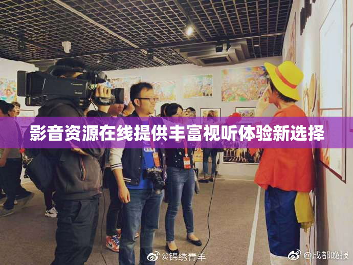 影音资源在线提供丰富视听体验新选择