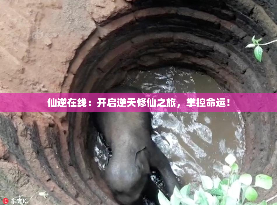 仙逆在线：开启逆天修仙之旅，掌控命运！