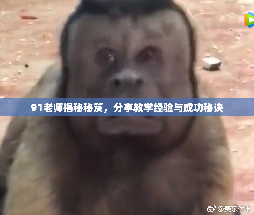 91老师揭秘秘笈，分享教学经验与成功秘诀