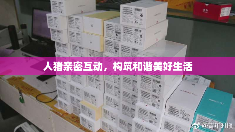人猪亲密互动，构筑和谐美好生活
