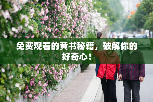 免费观看的黄书秘籍，破解你的好奇心！