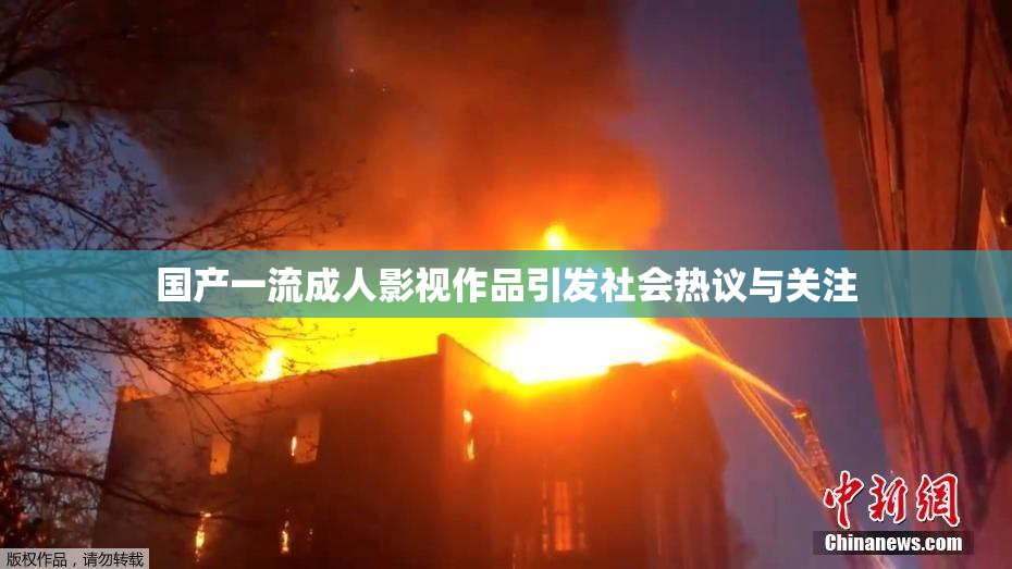国产一流成人影视作品引发社会热议与关注
