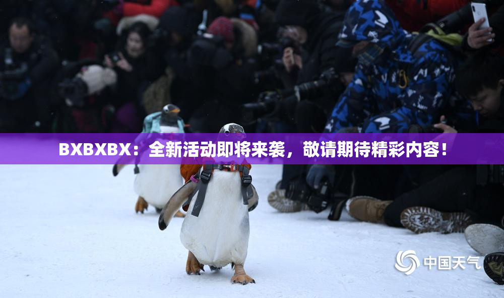 BXBXBX：全新活动即将来袭，敬请期待精彩内容！