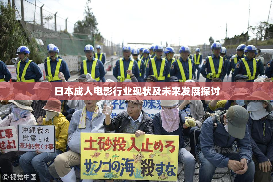日本成人电影行业现状及未来发展探讨