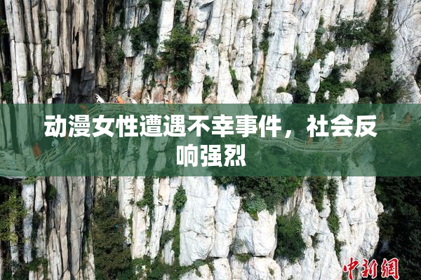 动漫女性遭遇不幸事件，社会反响强烈