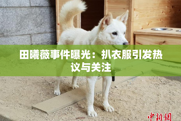 田曦薇事件曝光：扒衣服引发热议与关注