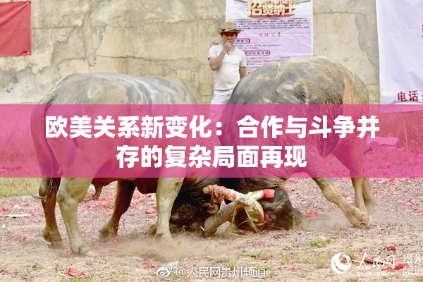 欧美关系新变化：合作与斗争并存的复杂局面再现